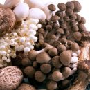 다솜한의원 이미지