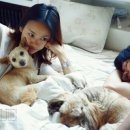 스윗 스멜