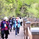 방화동 생태길 이미지