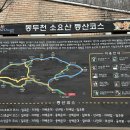 모텔오즈의마법사 이미지