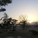 새천년생명의숲 이미지