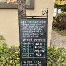 장출동 | 충주 가족 나들이(충주 커피박물관 글램핑/활옥동굴/고추냉이아이스크림/국수타령)