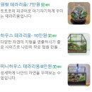 이끼창작스튜디오