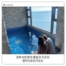 이마트 동해점 | 영덕 시포트 리조트 702호 후기 동해바다 오션뷰 경북 풀빌라 영덕 가성비 숙소