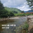 파라다이스 캠핑장 | 무릉도원 영월계곡캠핑 파라다이스캠핑장