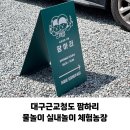 하리 농장 | 대구 근교 물놀이 수영장 카페 청도 팜하리 모래놀이 체험농장카페 솔직후기 아기랑 가볼만한곳