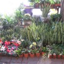 모래내시장입구 이미지