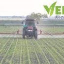 삼양만나 이미지