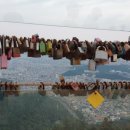 늘푸른솔밭골 이미지