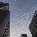 핫플레이스 뽑기방 이미지