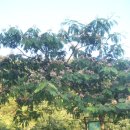 청풍쉼터 이미지