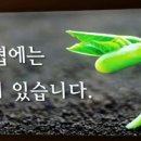 한티골마 이미지