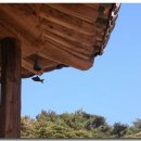 카페도드리 이미지