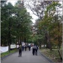 매듭의 조형 | 호서제일가람 속리산 법주사