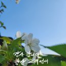 다옴공인중개사사무소 이미지