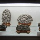 청송수석꽃돌박물관 이미지