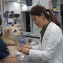 예은동물의료센터 이미지