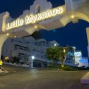 리틀애견 이미지