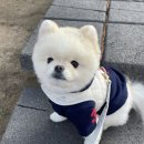 춘천목욕탕 이미지