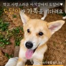 도담 이미지