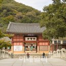 고창고인돌(서울) 이미지