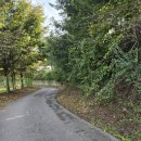 영인면 아산호로 이미지