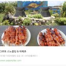 사이판 여행 경비 그로토 투어 스노쿨링 동굴 다이빙