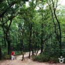 초안산헬기장 이미지