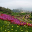 갈맷길 2-2코스 이미지