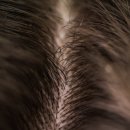 비엔엘에스테틱아카데미 이미지