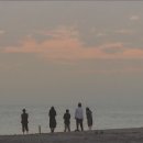 청춘 - 남동구 청능대로595번길 39 | 청춘