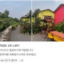 비자림라파 | 제주 구좌읍 숙소 추천 비자림라파 솔직 후기