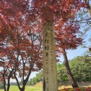 GS25 덕양흥도로점 | [경기도 서쪽] 가성비 수도권 골프장 고양cc 4월 말 라운딩 후기