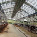 다사랑목장 이미지