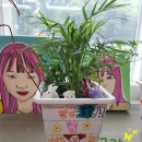 대구다사초등학교 이미지