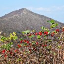 봄과가을이 이미지