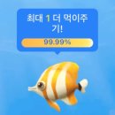 테무 피쉬랜드 성공 후기