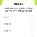와플나무