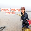엘림펜션민박 | 연평도어촌체험 연평여행사 인천 1박2일 가볼만한곳
