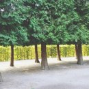 파로스학원 이미지