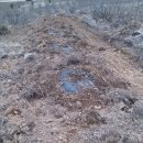 도전농장 이미지