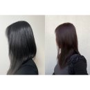 신방빌딩 | 신방동 미용실 | 자연모에서 [DEMI 레드 바이올렛 8레벨] 염색 후기, 모즈토리 신방점