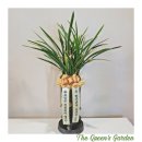 정동원2농장 이미지