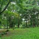 서림 행정사사무소 이미지