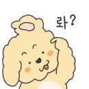 대청밀면 이미지
