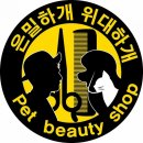 개아나유 이미지