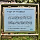 부안임씨 쌍효 정려 이미지