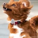 김성록동물병원 이미지