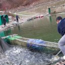 말고개낚시터 이미지