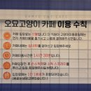 오묘고양이카페&호텔&미용